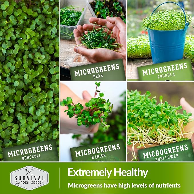Microgreen Seeds Variety Pack – 10 Heirloom Types for Indoor Sprouting | Broccoli, Pea, Sunflower, Radish, Kale, Arugula & More – High Germination Non-GMO – Survival Garden Seeds (Seeds Only)