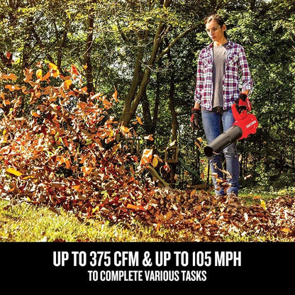 CRAFTSMAN V20 Cordless Leaf Blower, Battery & Charger Included (CMCBL720M1)