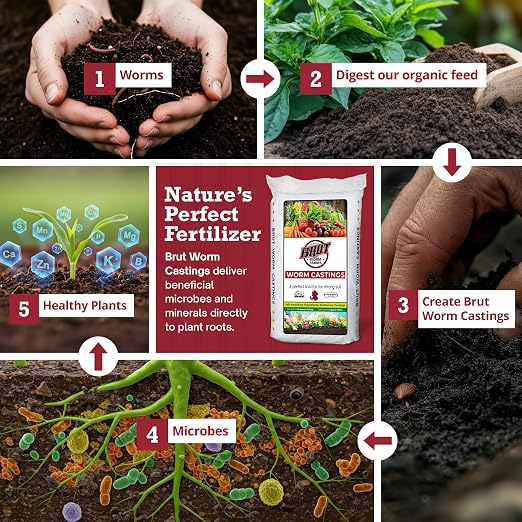 Brut Worm Farms 30 LB Organic Worm Castings, Natural Fertilizer for Indoor Outdoor Plants – Compost Soil Control, Mineral-Rich Potting Mix Additive Plant Food for Soil Health and Garden Growth