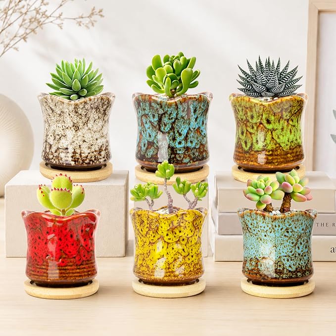 Succulent Pots with Drainage Tray, Cute Ceramic Pots for Plants Set of 6