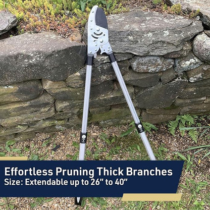 Tree Trimmer Loppers - Double Ratcheting Anvil Lopper - Extendable 26" - 40" Long Handles - Loppers for Tree Trimming Heavy Duty by Kings County Tools