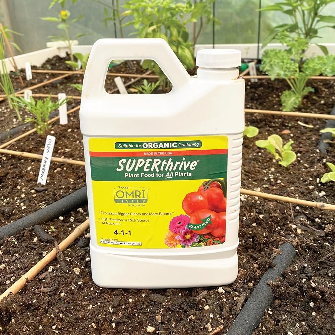 Vitamin Institute STFOOD32-8 Plant Food, Clear