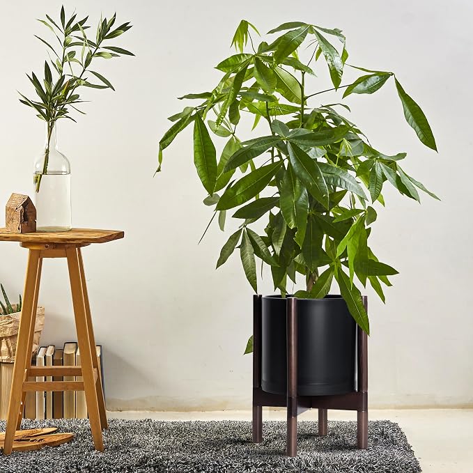 D'vine Dev Plastic Pot with Walnut Wood Stand, Black, 10 in, 55-C-L-2 | Mid-Century Inspired Design, Elevated Plant Display, Clean Lines, Sturdy Support, Modern Space-Saving Style