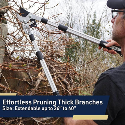Tree Trimmer Loppers - Double Ratcheting Bypass Pruners - Extendable 26" - 40" Long Handles - Loppers for Tree Trimming Heavy Duty by Kings County Tools