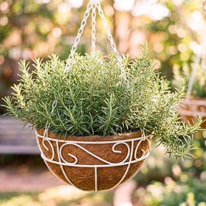 LaLaGreen Hanging Planter for Outdoor Plants (2 Pack, 12 Inch) White Hanging Baskets with Coco Liner, Metal Wire Flower Basket Pots with Hook Hanger Balcony Porch Farmhouse Country Style Garden Decor
