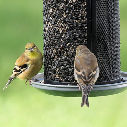 Perky-Pet Dual Mesh Wild Bird Seed Feeder - Holds up to 2.85 lb Wild Bird Seed - Dual Compartment for Seeds and Thistle - TSS00349