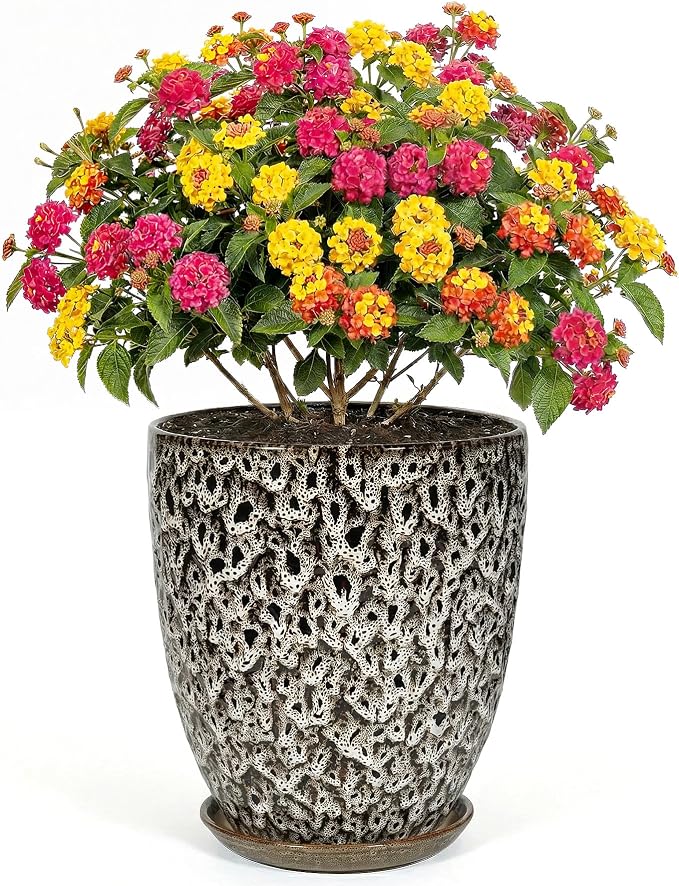 9.5 Inch Flower Pots for Indoor Plants,Ceramic Planter with Saucer Drainage Leak-Proof Mesh Gardening Gloves (Spotted White)