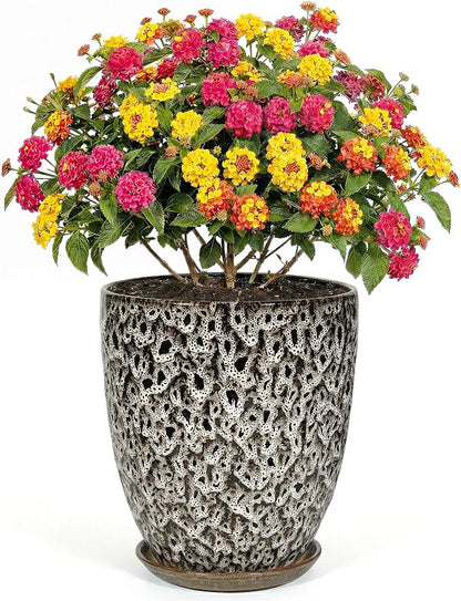 9.5 Inch Flower Pots for Indoor Plants,Ceramic Planter with Saucer Drainage Leak-Proof Mesh Gardening Gloves (Spotted White)