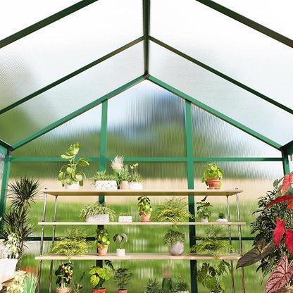 6x8 ft Walk-in Greenhouse, Polycarbonate Panels with Reinforced Aluminum Frame, Large Garden Green House for Planting and Seed Starting, Quick-Assembly Structure with Adjustable Roof Vent