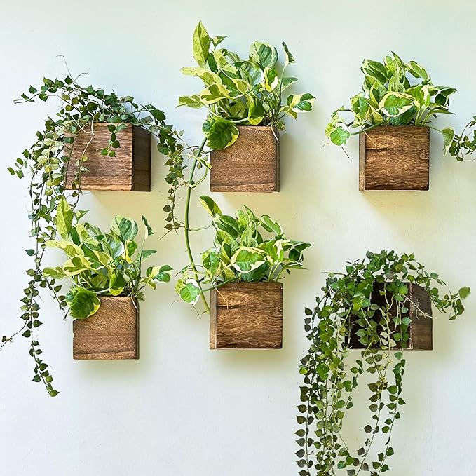 LaLaGreen Planter Boxes for Indoor Plant (4x4, 6 Pack) Wooden Wall Planters | Wall Mounted Planters Flower Pot, Herb Wooden Box Hanging Plant Holder Outdoor Balcony Vertical Garden Modern Home Decor