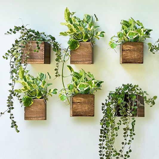 LaLaGreen Planter Boxes for Indoor Plant (4x4, 6 Pack) Wooden Wall Planters | Wall Mounted Planters Flower Pot, Herb Wooden Box Hanging Plant Holder Outdoor Balcony Vertical Garden Modern Home Decor
