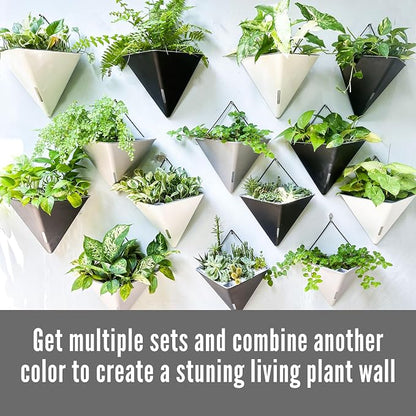 LaLaGreen Wall Planters for Indoor Plants (12in, 4 Pack) Self Watering Pots | Large Black and White Mixed Color Geometric Indoor Vertical Garden Wall Hanging Flower Vase Vessel with Metal Hanger Stylish