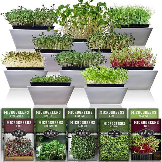 Microgreen Seeds Variety Pack – 10 Heirloom Types for Indoor Sprouting | Broccoli, Pea, Sunflower, Radish, Kale, Arugula & More – High Germination Non-GMO – Survival Garden Seeds (Seeds Only)