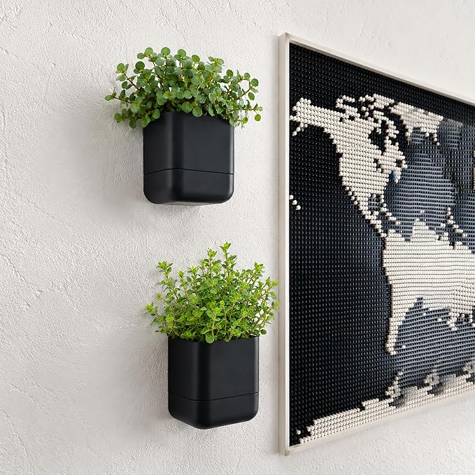 Phoenix Vine 4.5 Inch Wall Mounted Self-Watering Planter Pot for Indoor Houseplants and Herbs | Hanging Planter for Window Sills, Bathroom Walls, Home & Office Décor, Black, Set of 3, 01-B-E-3