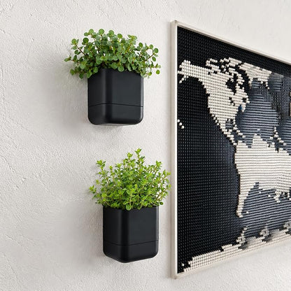 Phoenix Vine 4.5 Inch Wall Mounted Self-Watering Planter Pot for Indoor Houseplants and Herbs | Hanging Planter for Window Sills, Bathroom Walls, Home & Office Décor, Black, Set of 2, 01-B-E-2