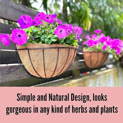 LaLaGreen Wall Hanging Planters (12 Inch, 2 Pack) Wall Mounted Flower Baskets with Coco Liner, Metal Iron Wire Plant Holder for Outdoor Window Box Herb Outside Fence Railing Deck Porch Balcony Garden