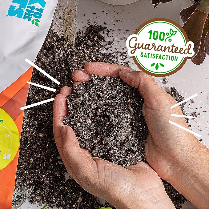 Back to the Roots 100% Organic Succulent & Cacti Mix (Value 12 Quart) | Made in the USA