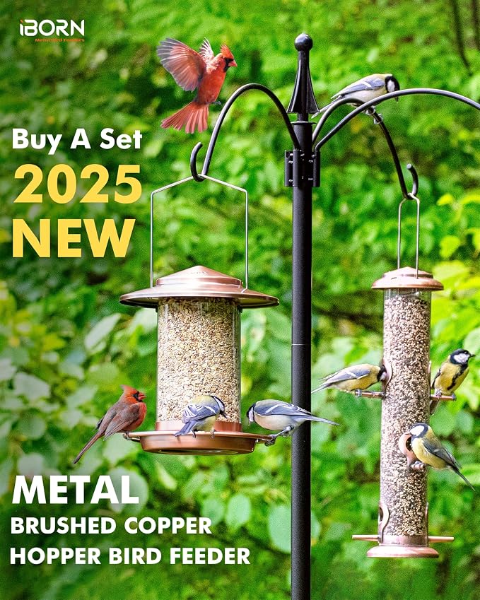 iBorn Metal Bird Feeders for Outdoors, Brushed Copper, 6 Port, 2.2LB | For Cardinal, Chew Proof, 18cm Large Roof & Tray, Hanging