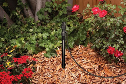 Rain Bird RISMAN1S Drip Irrigation Riser Adapter Drip and Sprinkler Watering, 1/2" Female Pipe Thread x 1/2" Male Pipe Thread x 1/4" Barbed End (Pack of 2)