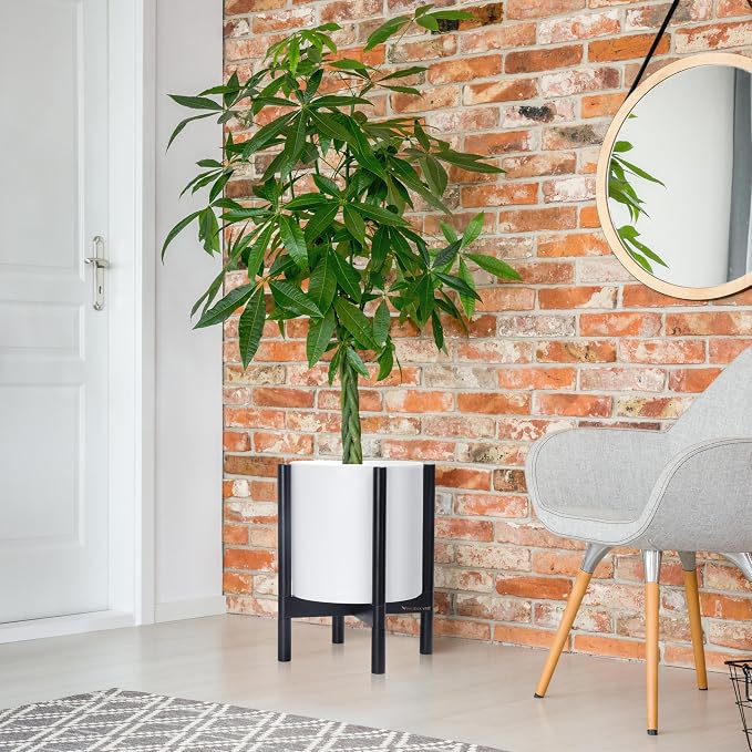 D'vine Dev Plastic Pot with Ebony Wood Stand, White, 12 in, 55-C-Q-1 | Mid-Century Inspired Design, Elevated Plant Display, Clean Lines, Sturdy Support, Modern Space-Saving Style