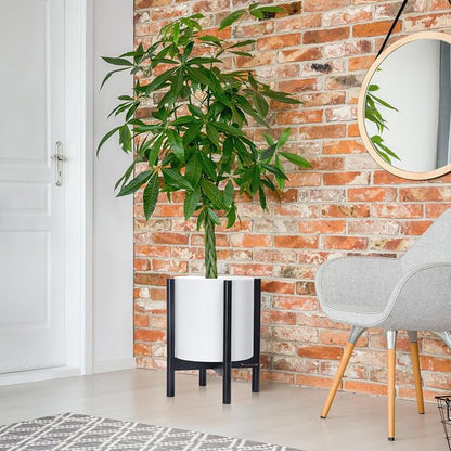 D'vine Dev Plastic Pot with Ebony Wood Stand, White, 12 in, 55-C-Q-1 | Mid-Century Inspired Design, Elevated Plant Display, Clean Lines, Sturdy Support, Modern Space-Saving Style