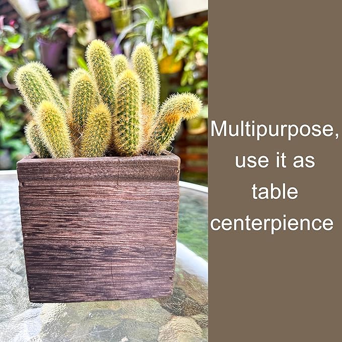 LaLaGreen Indoor Planter Box for Plants (4x4, 12 Pack) Wooden Wall Planters | Small Square Wood Window Boxes Hanging Flower Pot Plant Holder Outdoor Herb Modern Vertical Garden Home Decor