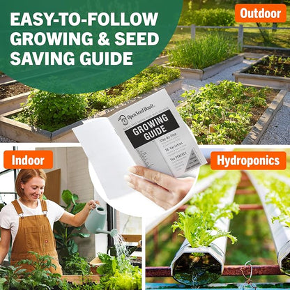 Open Seed Vault |15,000 Heirloom Seeds | 18 Seed Types | Survival Seeds | 2026 Season | Non GMO Vegetable and Fruit Seeds | Planting Outdoor & Indoor Garden