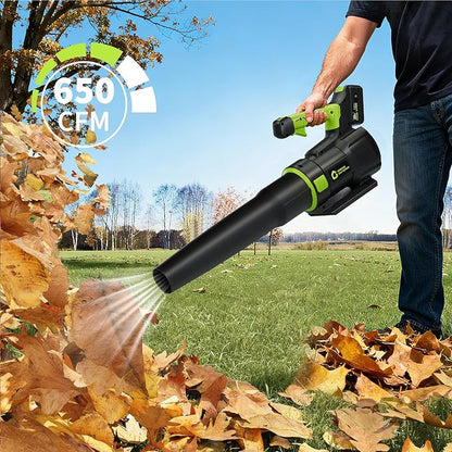 GarveeTech Electric Leaf Blower, 650CFM & 200MPH | Cordless Leaf Blower with 4.0Ah Battery, Lightweight Battery Blowers for Lawn, Patio, Yard, Garden, Outdoor