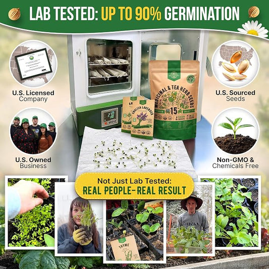 Organo Republic 15 Medicinal & Tea Herb Seeds Variety Pack 6,420+ Non-GMO Heirloom Garden Seeds for Indoor & Outdoors, Including Anise, Borage, Cilantro, Chamomile, Dandelion, Rosemary Seeds