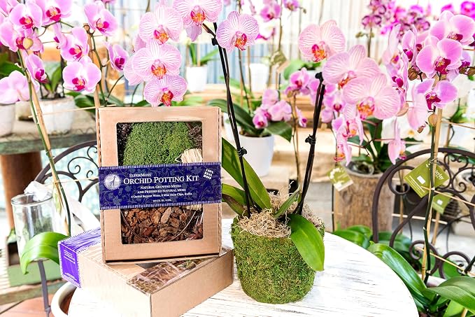SuperMoss (90445 Orchid Potting Kit, Complete Orchid Care Set with Preserved Moss, Orchid Bark, Floral Clips and Stakes, 120 Cu. in., Spanish Moss, Green