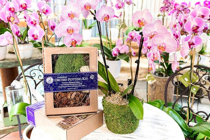 SuperMoss (90445 Orchid Potting Kit, Complete Orchid Care Set with Preserved Moss, Orchid Bark, Floral Clips and Stakes, 120 Cu. in., Spanish Moss, Green