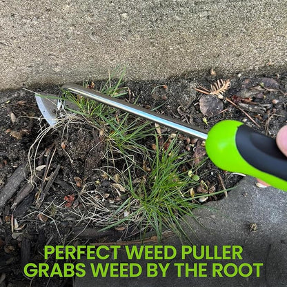 Garden Guru Root Weeder Tool with Ergonomic Handle - Stainless Steel Weed Puller for Planting, Weeding, Flower and Vegetable Care in Lawn Garden Yard | Rust Resistant (4 Pack)