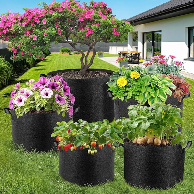 Jorvila 10 Pack 1 Gallon Grow Bags, Thickened Nonwoven Fabric Planter Pots with Handles, Heavy Duty 300G Garden Pots for Tomato, Potato and Vegetable