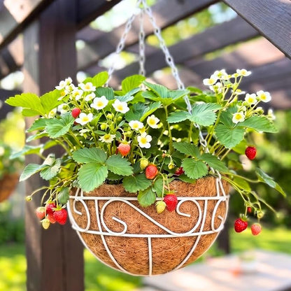 LaLaGreen Hanging Planter for Outdoor Plants (4 Pack, 14 Inch) White Hanging Baskets with Coco Liner, Metal Wire Flower Basket Pots with Hook Hanger Balcony Porch Farmhouse Country Style Garden Decor