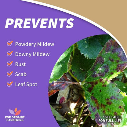 Bonide Captain Jack's Neem Oil, 32 oz Ready-to-Use Spray, Multi-Purpose Fungicide, Insecticide and Miticide for Organic Gardening | Multi-Purpose Fungicide, Insecticide and Miticide, For Plants, For Organic Gardening