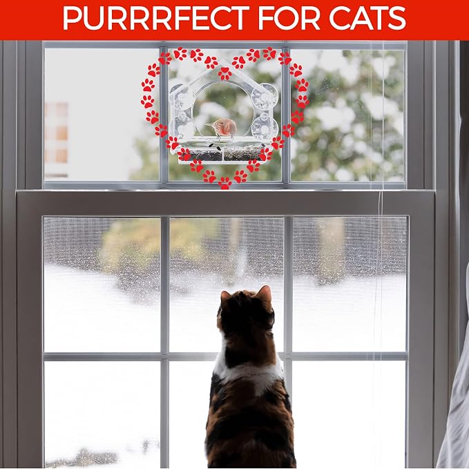 Nature Anywhere Window Bird Feeder - Weather Proof Transparent Acrylic Bird Feeders for Outdoors - Enhanced Suction Grip, Bird Watching for Cats, Easy-to-Clean, Outdoor Birdhouse Feeder (1 Unit)