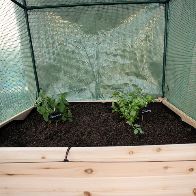 Backyard Expressions 36"x24" Elevated Garden Bed with Greenhouse Cover – Raised Wooden Planter Box with Legs, Mini Outdoor Greenhouse, 66" Tall