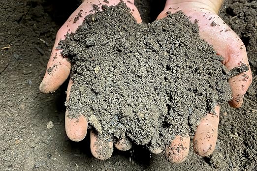 Organic Compost 1 Gallon