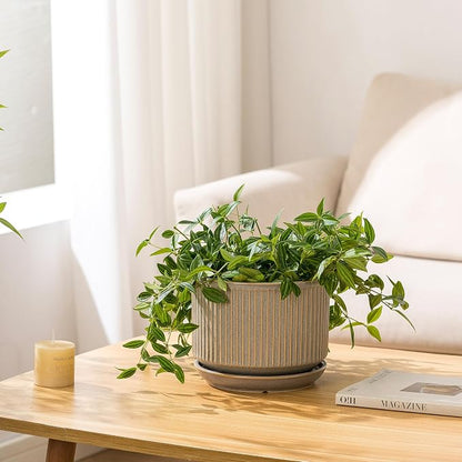 SURE YUESI Ceramic Plant Pots Set of 3, Indoor Outdoor Planters with Drainage Hole and Saucer, Ceramic Flower Pots for Indoor Plants, 4.3+5.5+6.8 Inch, Home, Garden, Patio and Office, Matte Grey