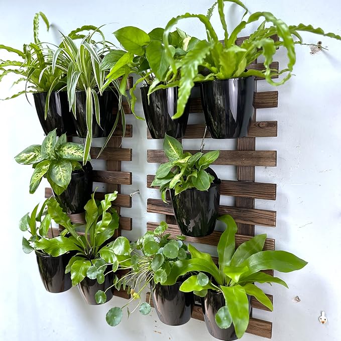 LaLaGreen Wall Planters for Indoor Plants (5in, 10 Pack) Small Planter | Black Self Watering Pots Modern Indoor Hydroponic Vertical Live Garden Wall Mounted Hanging Plant Holder