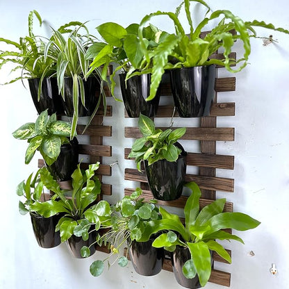 LaLaGreen Wall Planters for Indoor Plants (5in, 10 Pack) Small Planter | Black Self Watering Pots Modern Indoor Hydroponic Vertical Live Garden Wall Mounted Hanging Plant Holder