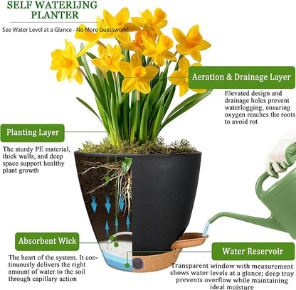 6 Inch Self Watering Pots for Indoor Plants(5-Pack) – Small Plastic Planters with Water Level Window, Drainage Holes & Detachable Trays, Indoor Outdoor Flower Pots for Herbs, Snake,Pothos(Black)