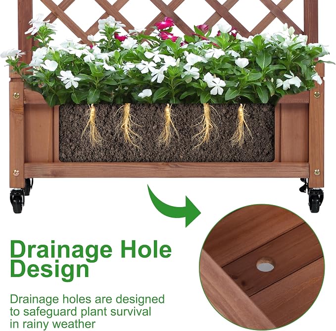 Raised Garden Bed with Trellies 2 Pack, Outdoor Wooden Planter Box & Plant Stand with Climbing Racks
