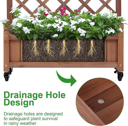 Raised Garden Bed with Trellies 2 Pack, Outdoor Wooden Planter Box & Plant Stand with Climbing Racks