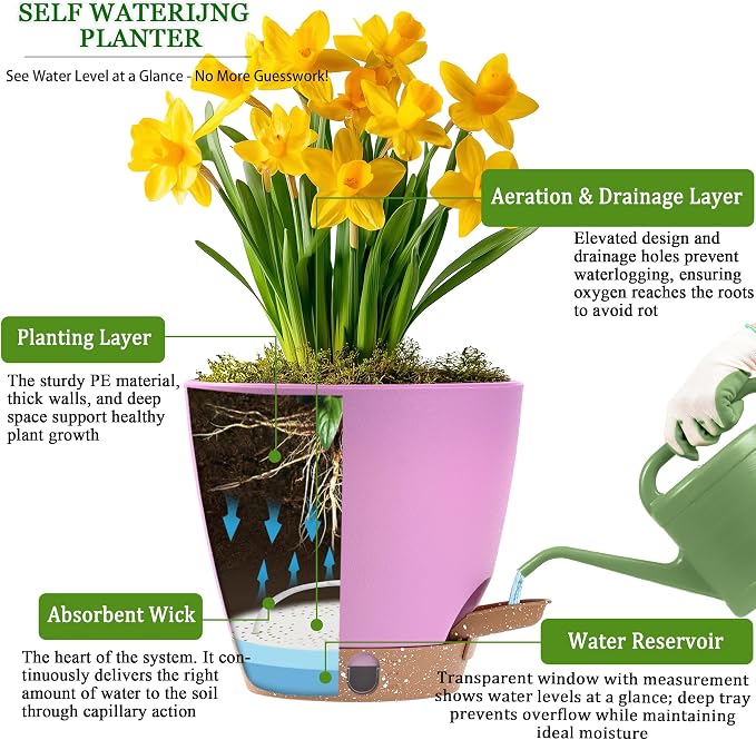 6 Inch Self Watering Pots for Indoor Plants(5-Pack) – Small Plastic Planters with Water Level Window, Drainage Holes & Trays, Indoor Outdoor Flower Pots for Herbs, Snake,Pothos (Dusty Lavender)