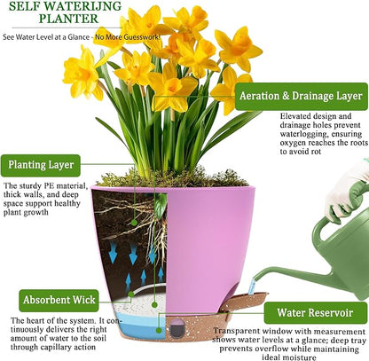 6 Inch Self Watering Pots for Indoor Plants(5-Pack) – Small Plastic Planters with Water Level Window, Drainage Holes & Trays, Indoor Outdoor Flower Pots for Herbs, Snake,Pothos (Dusty Lavender)