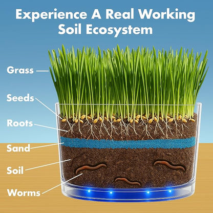 ES EVVIVA SCIENCES Worm Habitat Kit - Transparent Ecosystem Learning Container for Worm Observation and Soil Layer Studies - Composting Science Projects and Lab Use - Intended for Ages 15 & Older