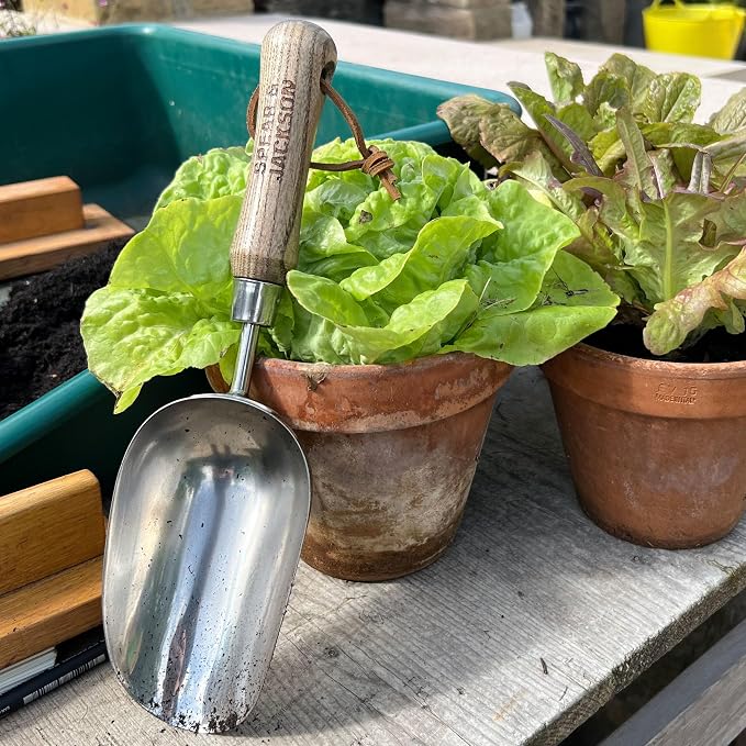 Spear & Jackson 5060SS Traditional Stainless Soil Scoop, 32.5 x 9 x 5 cm, Blue