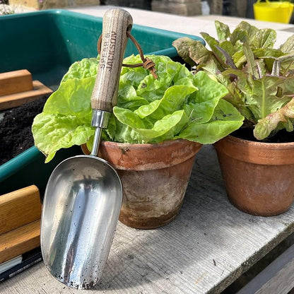 Spear & Jackson 5060SS Traditional Stainless Soil Scoop, 32.5 x 9 x 5 cm, Blue