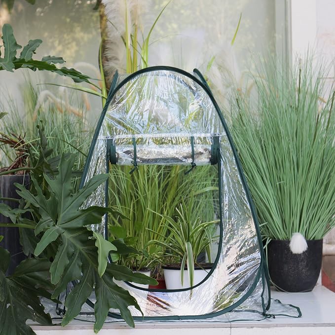 Gardzen 2-Pack 27"x27"x31" Pop up Grow Greenhouse Small Greenhouse, Steel Frame Portable Plant Flowers Mini Green House Zipper Cover for Outdoor & Indoor Use